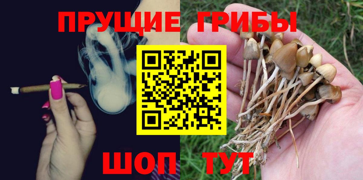 Псилоцибиновые грибы GOLDEN TEACHER Куйбышев